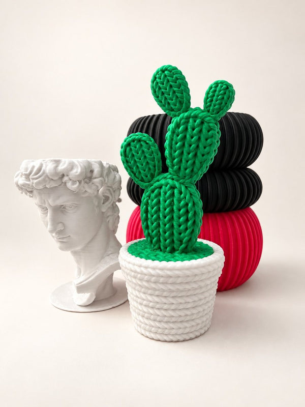 Cactus en macetero